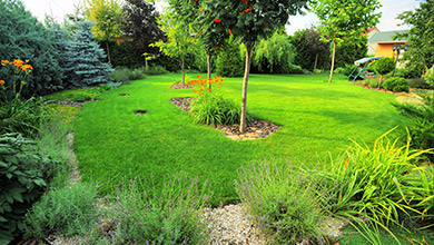 Zakładanie i projektowanie ogrodów Brzesko, Tarnów, Bochnia