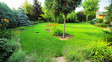 Zakładanie ogrodów Brzesko, Tarnów, Bochnia