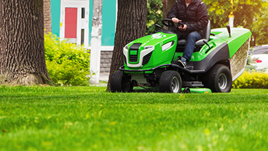 Koszenie trawnika Brzesko, Tarnów, Bochnia