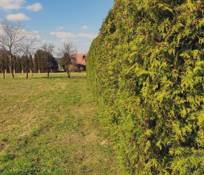 uslugi-ogrodnicze-kosiarze (1).jpg