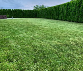 uslugi-ogrodnicze-kosiarze-brzesko-tarnow-bochnia (8).jpg