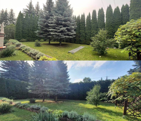 uslugi-ogrodnicze-kosiarze-brzesko-tarnow-bochnia (4).jpg