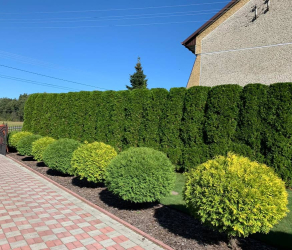 uslugi-ogrodnicze-ogrodnik-kosiarze (2).jpg