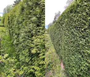 uslugi-ogrodnicze-kosiarze (3).jpg