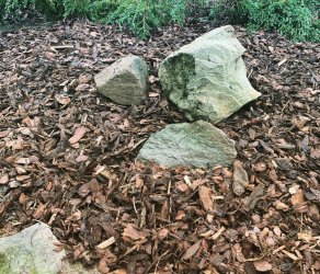 uslugi-ogrodnicze-kosiarze-brzesko-tarnow-bochnia (3).jpg