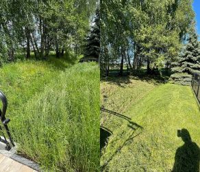 uslugi-ogrodnicze-ogrodnik-kosiarze (1).jpg