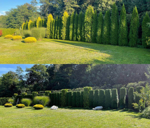 uslugi-ogrodnicze-kosiarze-brzesko-tarnow-bochnia (2).jpg