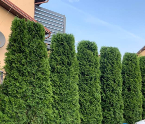 uslugi-ogrodnicze-ogrodnik-kosiarze (6).jpg