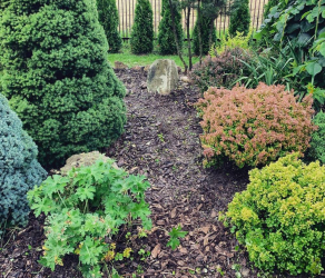 uslugi-ogrodnicze-kosiarze-brzesko-tarnow-bochnia (4).jpg