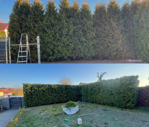 uslugi-ogrodnicze-kosiarze-brzesko-tarnow-bochnia (6).jpg