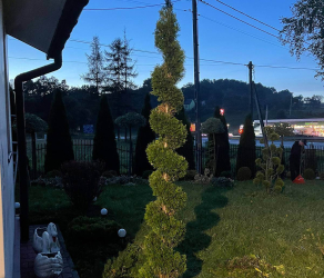 uslugi-ogrodnicze-kosiarze-brzesko-tarnow-bochnia (8).jpg