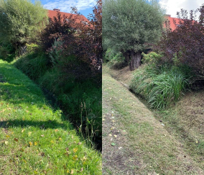 uslugi-ogrodnicze-kosiarze (4).jpg