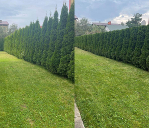 uslugi-ogrodnicze-kosiarze-brzesko-tarnow-bochnia (3).jpg