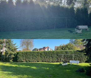 uslugi-ogrodnicze-kosiarze-brzesko-tarnow-bochnia (5).jpg