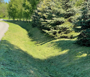 uslugi-ogrodnicze-ogrodnik-kosiarze (5).jpg