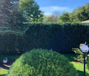 uslugi-ogrodnicze-kosiarze-brzesko-tarnow-bochnia (14).jpg