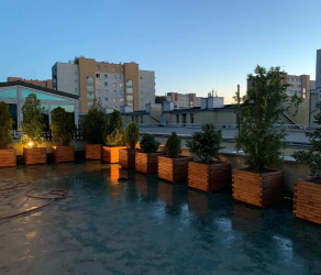 uslugi-ogrodnicze-kosiarze-brzesko-tarnow-bochnia (13).jpg