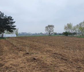 uslugi-ogrodnicze-kosiarze (2).jpg